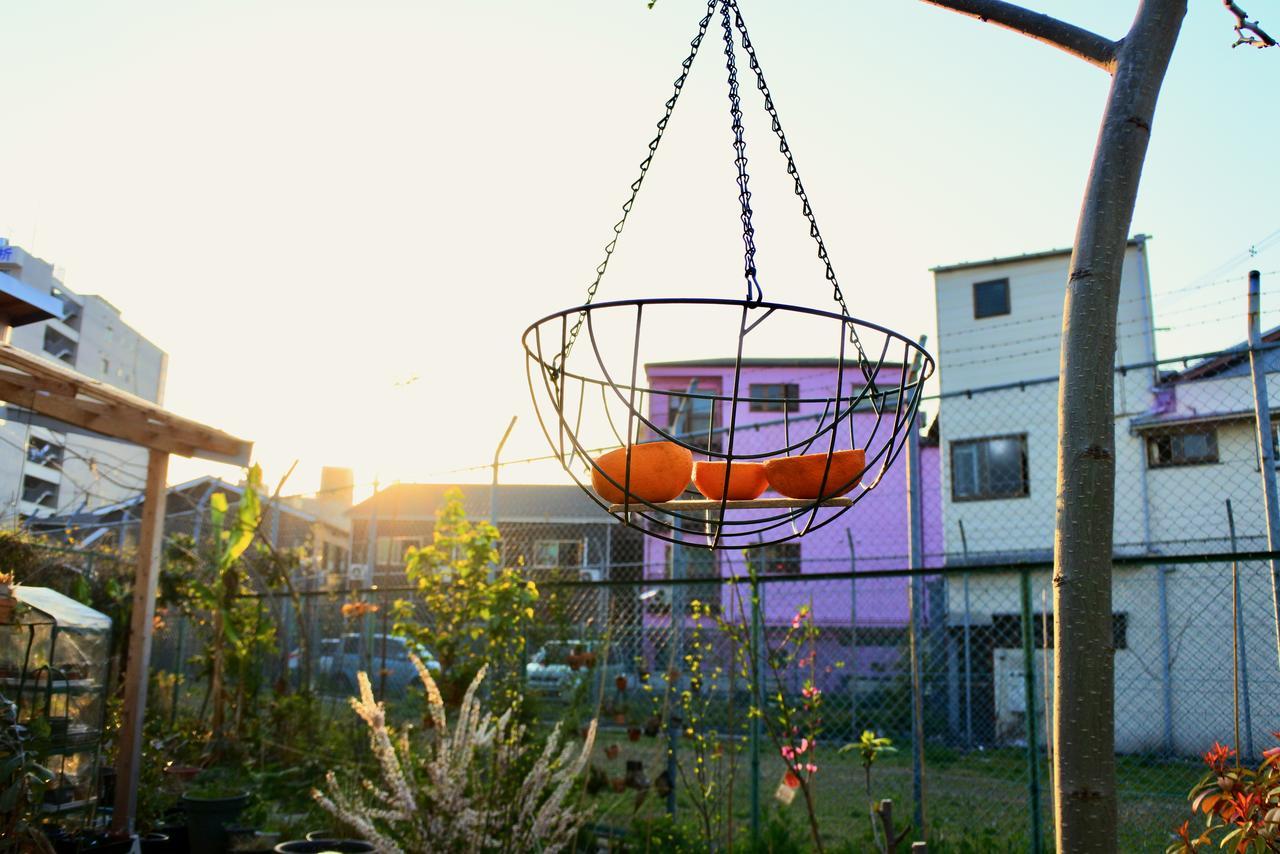 Kamagasaki University Of The Arts Cafe Garden Guest House Aka Cocoroom Osaka Esterno foto
